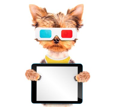 tablet pc ile film olacak köpek