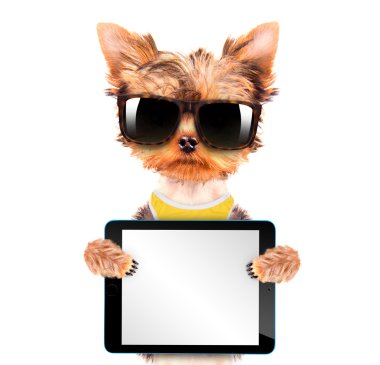 tablet pc ile tonları giyen köpek