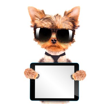 tablet pc ile tonları giyen köpek
