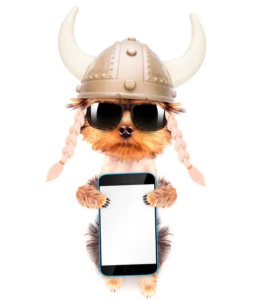 Dog dressed up as a viking with phone — Stock Photo, Image