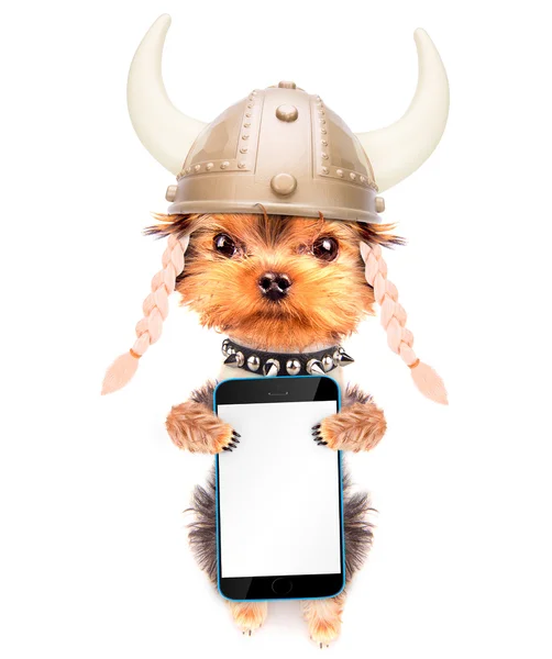 Dog dressed up as a viking with phone — Stock Photo, Image