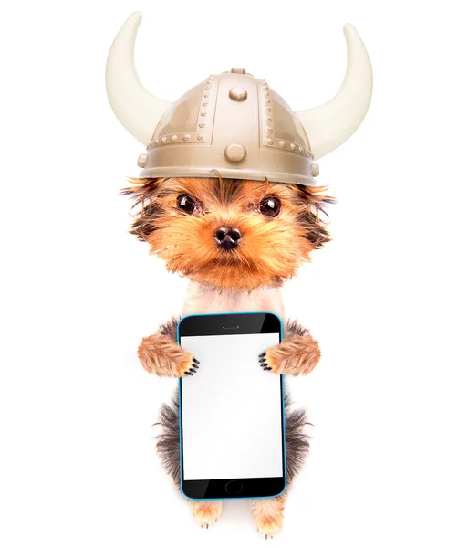 Dog dressed up as a viking with phone — Stock Photo, Image