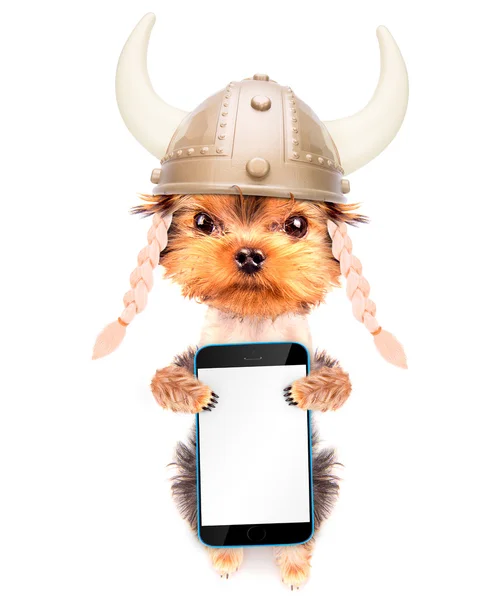 Dog dressed up as a viking with phone — Stock Photo, Image
