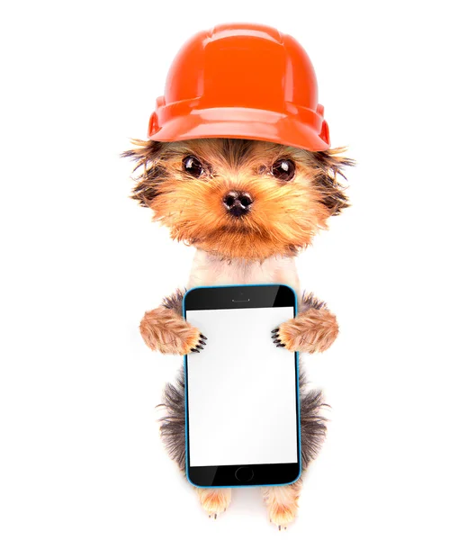 Dog  dressed as builder with phone — Stock Photo, Image
