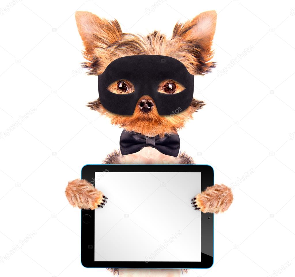 super hero puppy dog with tablet pc