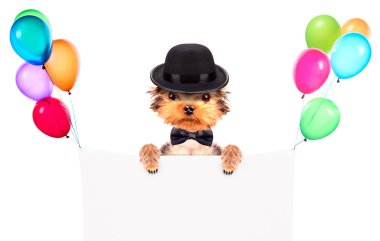 mafia gangster afiş ile köpek kostümü