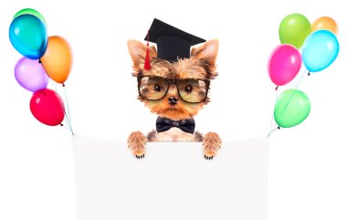 banner'ın mezun köpekle