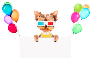 Film afiş olacak köpek