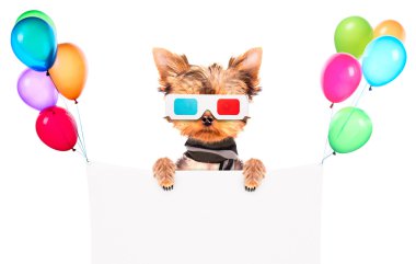 Film afiş olacak köpek