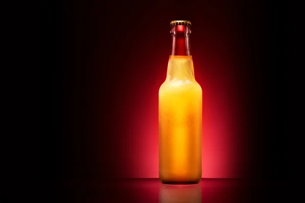 Wet beer bottle — Stock Photo, Image