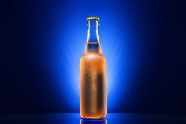 Garrafa de cerveja molhada — Fotografia de Stock