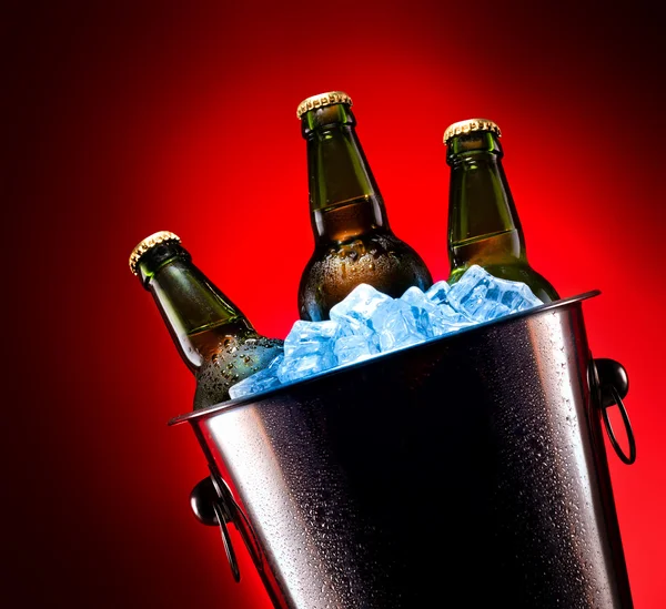 Beer bottles in ice bucket — Stock Photo, Image