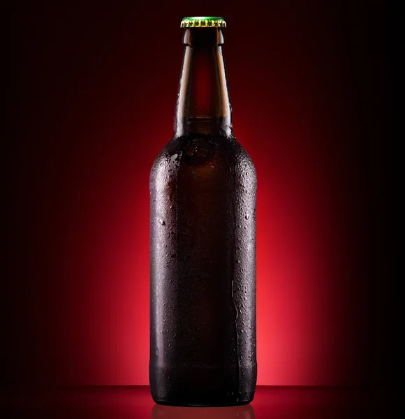 Garrafa de cerveja molhada — Fotografia de Stock