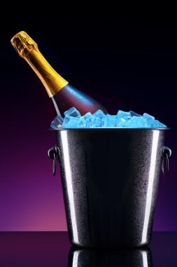 Şampanyayı buz kovasının içinde
