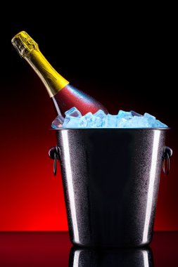 Şampanyayı buz kovasının içinde
