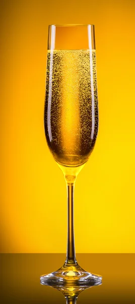 Luxusglas Champagner — Stockfoto