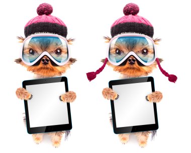 tablet pc ile kayakçı köpek kostümü