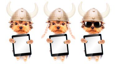 tablet pc ile bir viking gibi giyinmiş köpek