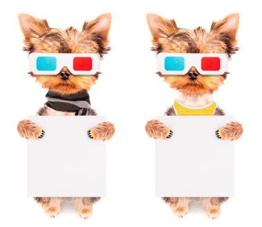 Film afiş olacak köpek