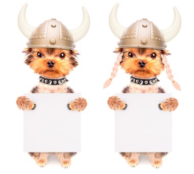 köpek kılığına girmiş bir viking afiş olarak