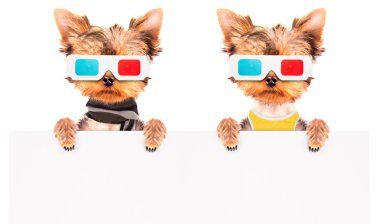 Film afiş olacak köpek