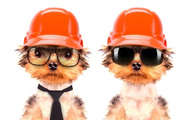 köpek üreticisi olarak giyinmiş