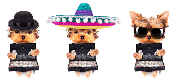 Чемодан с деньгами
