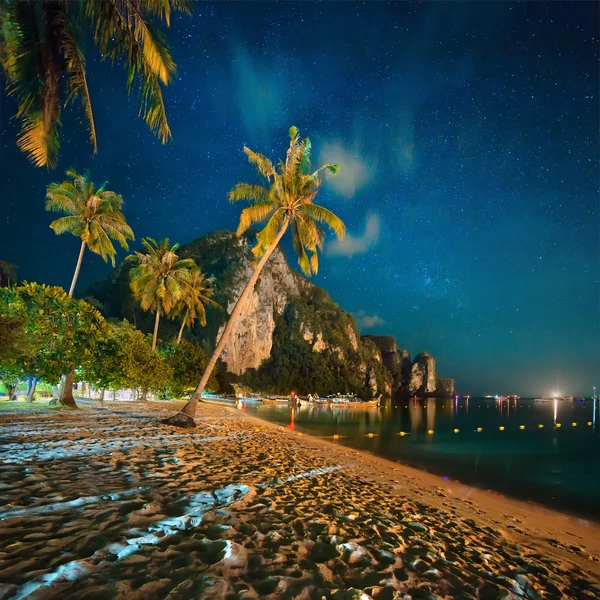 Kväll på stranden med palm och sand — Stockfoto