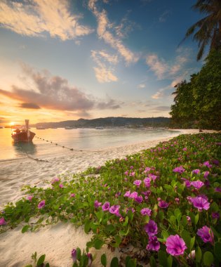 Güzel bir plaj renkli çiçekler ve tekne ile