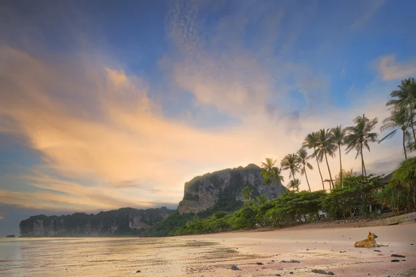 Dog on the beach, Thailand — Stock Photo, Image