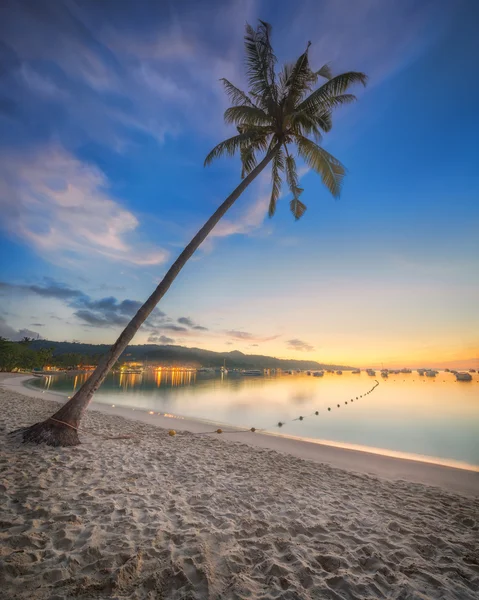 Belle plage avec cocotier — Photo
