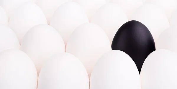 Ovo preto entre muitos ovos brancos — Fotografia de Stock