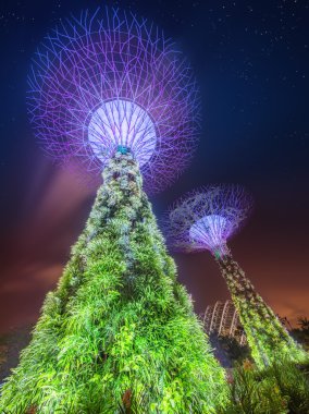 supertree Gardens Körfez, Singapur