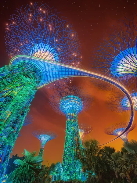 Супердерево в Gardens by the Bay, Сингапур — стоковое фото