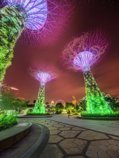 베이, 싱가포르에 의해 정원에서 supertree — 스톡 사진