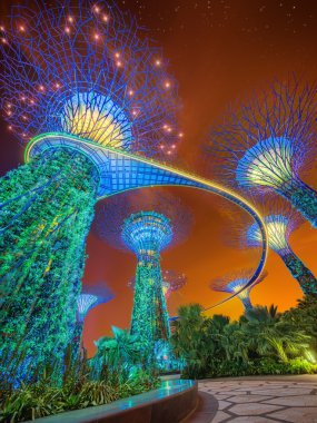 supertree Gardens Körfez, Singapur