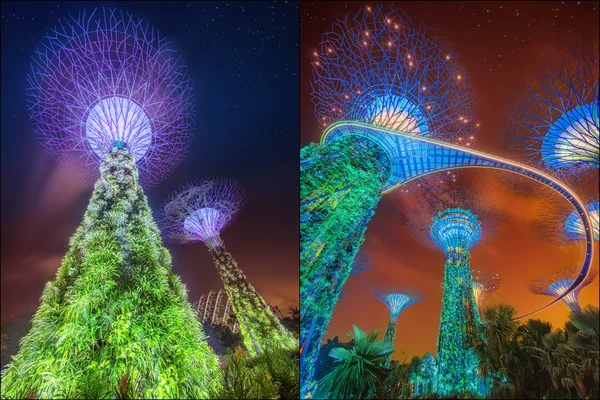 베이, 싱가포르에 의해 정원에서 Supertree의 합성 — 스톡 사진