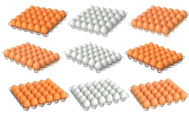 Beyaz şeffaf arkaplanda izole edilmiş beyaz ve kahverengi yumurtalarla dolu metal tepsiler. Yumurta çeşitliliği ve gıda endüstrisi kavramı