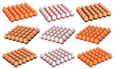 Beyaz şeffaf arka planda izole edilmiş, düzgün istiflenmiş kahverengi ve beyaz yumurtalarla dolu plastik tepsiler. Yumurta çeşitliliği ve gıda endüstrisi kavramı