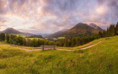Berchtesgaden Ulusal Parkı, Yukarı Bavyera Alpleri, Almanya, Avrupa 'da gün batımında Hintersee Gölü yakınlarında yol ve bank ile Meadow. Gökyüzü yolu kırpılıyor