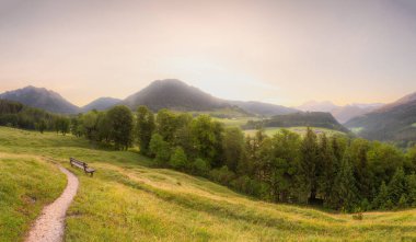 Berchtesgaden Ulusal Parkı, Yukarı Bavyera Alpleri, Almanya, Avrupa 'da gün batımında Hintersee Gölü yakınlarında yol ve bank ile Meadow. Gökyüzü yolu kırpılıyor