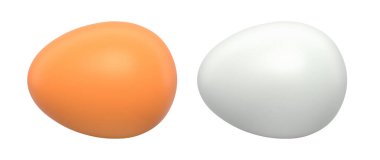 Kahverengi ve beyaz yumurtalar beyaz şeffaf arka planda yan yana izole edilmiş. Yumurta çeşitliliği ve besin kavramı