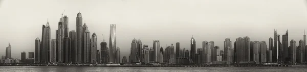 The beauty panorama of Dubai, black and white — Stock Photo, Image