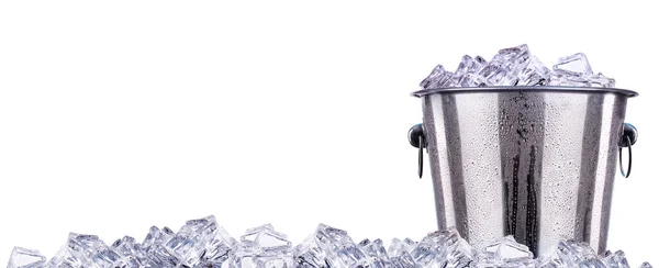 bira şişe buz kovası izole