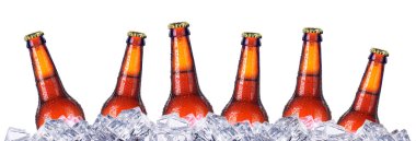 Bira şişe buz soğuk damla ile kümesi