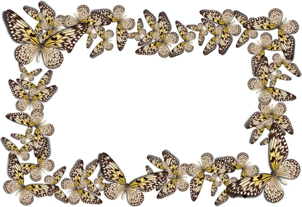 Красивый фон бабочки — стоковое фото