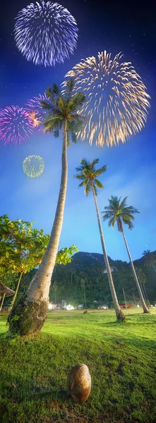 Beautiful fireworks above tropical landscape, Thailand — Stock Photo, Image
