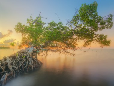Tropikal beach, Tayland üzerinden güzel gündoğumu