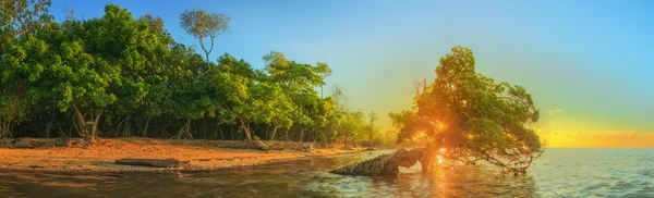 Beau lever de soleil sur la plage tropicale, Thaïlande — Photo