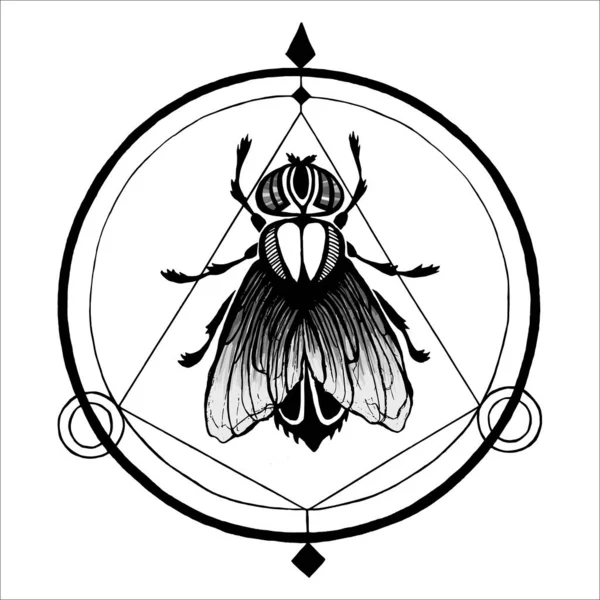Voler Dans Cercle Logo Silhouette Noire Dans Des Couleurs Grises — Image vectorielle